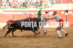 FIFS0267
