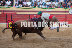 FIFS1503