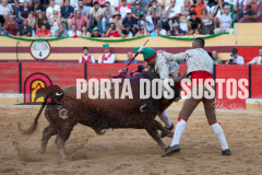FIFS1507