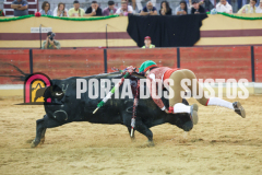 FIFS2247