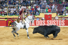 FIFS3003