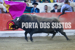 FIFS0500