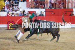 FIFS1287