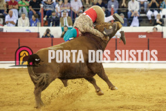 FIFS0449