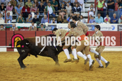 FIFS0813