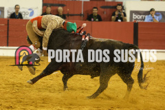 FIFS1203
