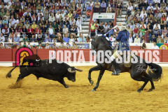FIFS1491