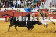 FIFS1659