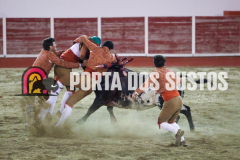 FIFS0734
