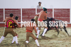 FIFS0766