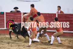 FIFS0780