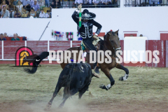 FIFS0827