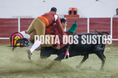 FIFS0951