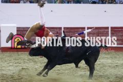 FIFS1042