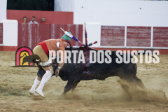 FIFS1074
