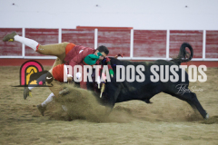 FIFS1289