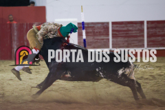 FIFS1556