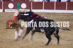 FIFS3549