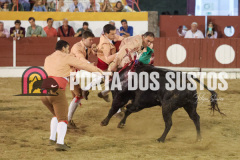 FIFS3944