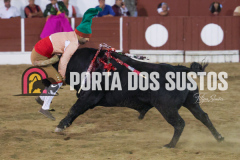 FIFS4412