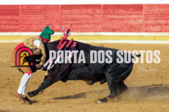 FIFS0794