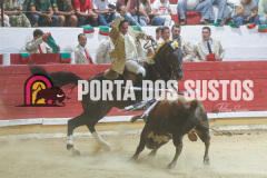 FIFS1481