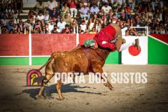 IMG_3689