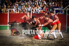 IMG_3944