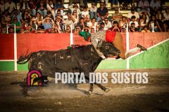 IMG_4364