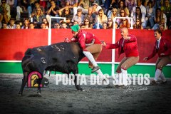 IMG_4762