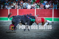 IMG_5028