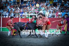 IMG_5049