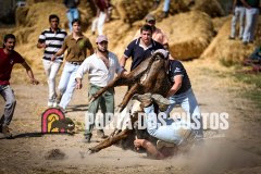 IMG_8785
