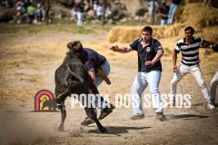 IMG_8887