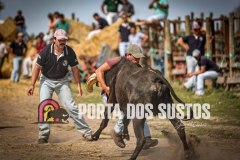 IMG_9094