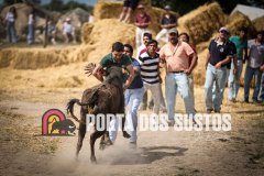 IMG_9208