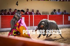 IMG_6573