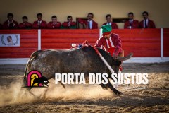 IMG_6937