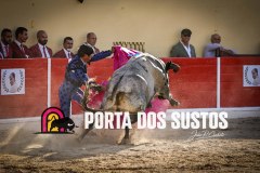 IMG_7053