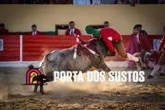 IMG_7222