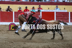 093da46a-5b66-4de8-9559-5300dd5d7ba6