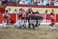 1de07273-02af-4bd2-b78a-68efa7328e5f