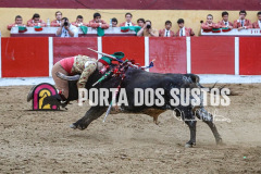 d04888e5-175d-46aa-ba0a-b4f8397a67b3