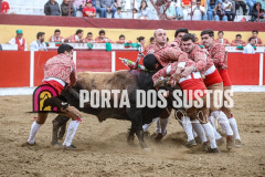 df0924bb-4d81-475b-a590-57974f2c84c4