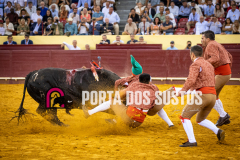 IMG_6360