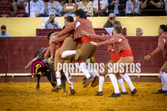 IMG_6422
