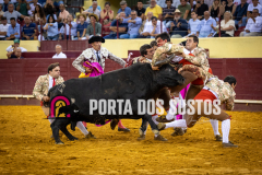 IMG_6671