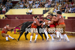 IMG_7056