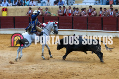 FIFS0831