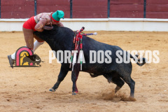 FIFS0894
